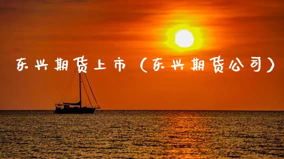 东兴期货上市（东兴期货公司）_https://www.boyangwujin.com_原油期货_第1张