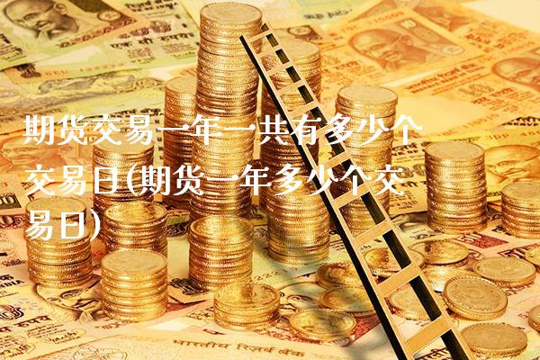 期货交易一年一共有多少个交易日(期货一年多少个交易日)_https://www.boyangwujin.com_期货直播间_第1张