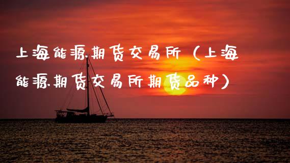 上海能源期货交易所（上海能源期货交易所期货品种）