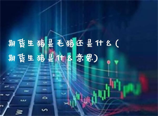 期货生猪是毛猪还是什么(期货生猪是什么意思)_https://www.boyangwujin.com_期货科普_第1张
