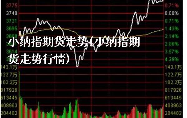 小纳指期货走势(小纳指期货走势行情)_https://www.boyangwujin.com_纳指期货_第1张