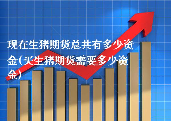 现在生猪期货总共有多少资金(买生猪期货需要多少资金)