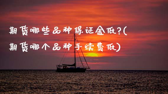 期货哪些品种保证金低?(期货哪个品种手续费低)