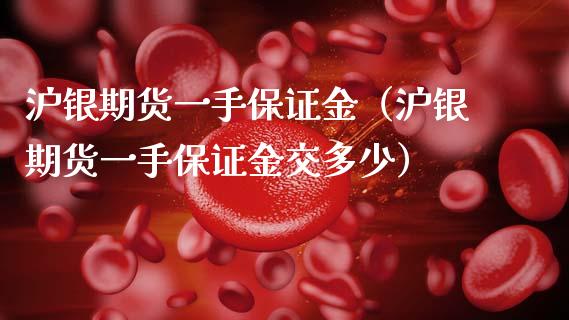 沪银期货一手保证金（沪银期货一手保证金交多少）_https://www.boyangwujin.com_期货直播间_第1张