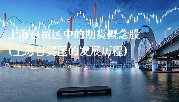 上海自贸区中的期货概念股(上海自贸区的发展历程)_https://www.boyangwujin.com_黄金期货_第1张
