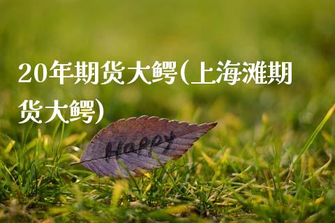 20年期货大鳄(上海滩期货大鳄)_https://www.boyangwujin.com_期货开户_第1张