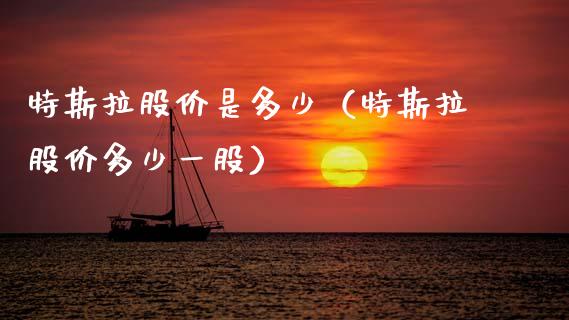 特斯拉股价是多少（特斯拉股价多少一股）_https://www.boyangwujin.com_期货直播间_第1张