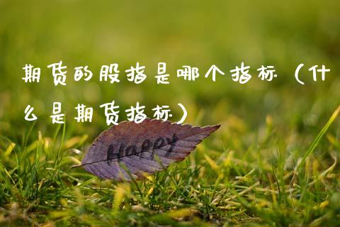 期货的股指是哪个指标（什么是期货指标）_https://www.boyangwujin.com_黄金期货_第1张