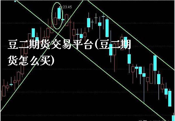 豆二期货交易平台(豆二期货怎么买)_https://www.boyangwujin.com_期货开户_第1张