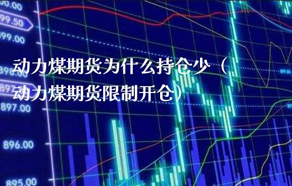 动力煤期货为什么持仓少（动力煤期货限制开仓）