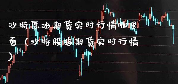 沙特原油期货实时行情哪里看（沙特股指期货实时行情）