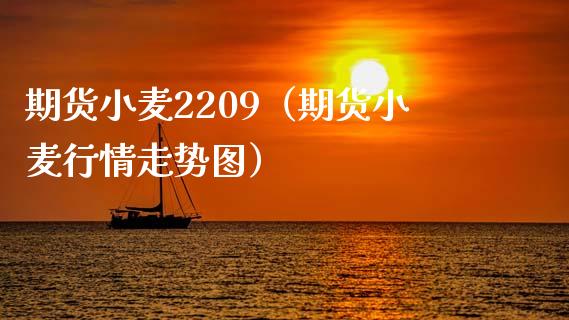 期货小麦2209（期货小麦行情走势图）