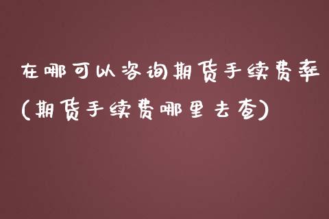 在哪可以咨询期货手续费率(期货手续费哪里去查)_https://www.boyangwujin.com_黄金期货_第1张
