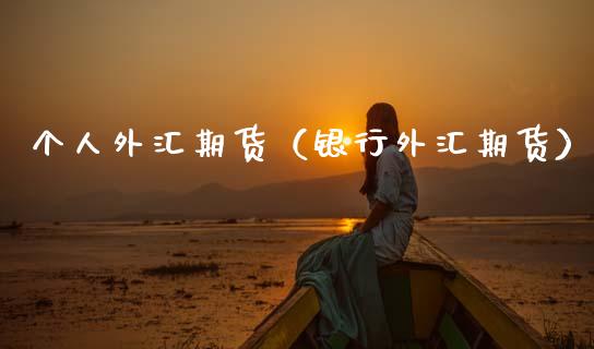 个人外汇期货（银行外汇期货）