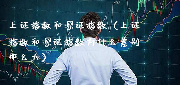 上证指数和深证指数（上证指数和深证指数为什么差别那么大）