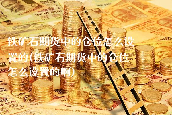 铁矿石期货中的仓位怎么设置的(铁矿石期货中的仓位怎么设置的啊)_https://www.boyangwujin.com_期货直播间_第1张