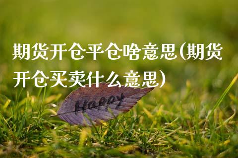 期货开仓平仓啥意思(期货开仓买卖什么意思)_https://www.boyangwujin.com_期货直播间_第1张