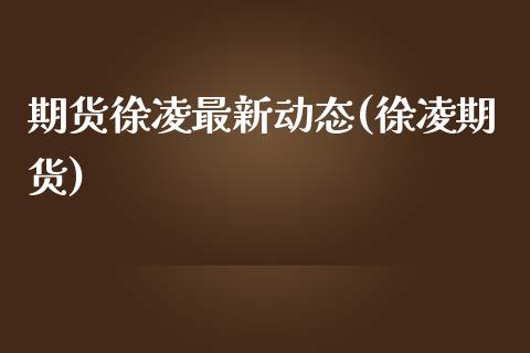 期货徐凌最新动态(徐凌期货)_https://www.boyangwujin.com_恒生指数_第1张