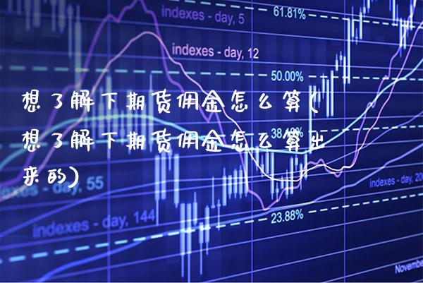 想了解下期货佣金怎么算(想了解下期货佣金怎么算出来的)_https://www.boyangwujin.com_期货直播间_第1张