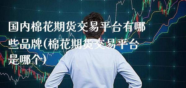 国内棉花期货交易平台有哪些品牌(棉花期货交易平台是哪个)_https://www.boyangwujin.com_期货开户_第1张