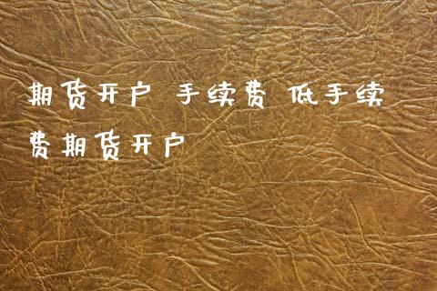 期货开户 手续费 低手续费期货开户_https://www.boyangwujin.com_期货直播间_第1张
