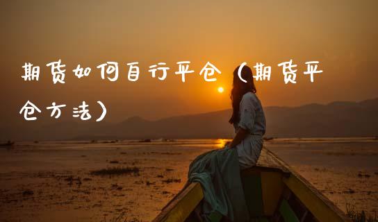 期货如何自行平仓（期货平仓方法）_https://www.boyangwujin.com_期货直播间_第1张