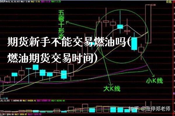 期货新手不能交易燃油吗(燃油期货交易时间)_https://www.boyangwujin.com_期货科普_第1张