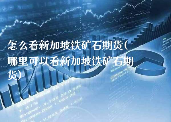 怎么看新加坡铁矿石期货(哪里可以看新加坡铁矿石期货)