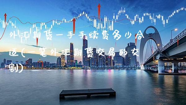 外汇期货一手手续费多少合适(一笔外汇期货交易的交割)