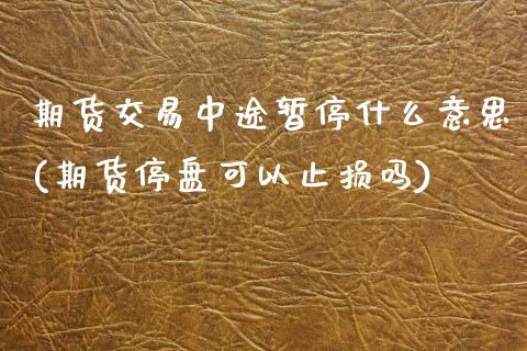 期货交易中途暂停什么意思(期货停盘可以止损吗)_https://www.boyangwujin.com_恒指期货_第1张
