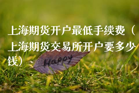 上海期货开户最低手续费（上海期货交易所开户要多少钱）_https://www.boyangwujin.com_期货直播间_第1张