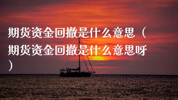 期货资金回撤是什么意思（期货资金回撤是什么意思呀）_https://www.boyangwujin.com_期货直播间_第1张