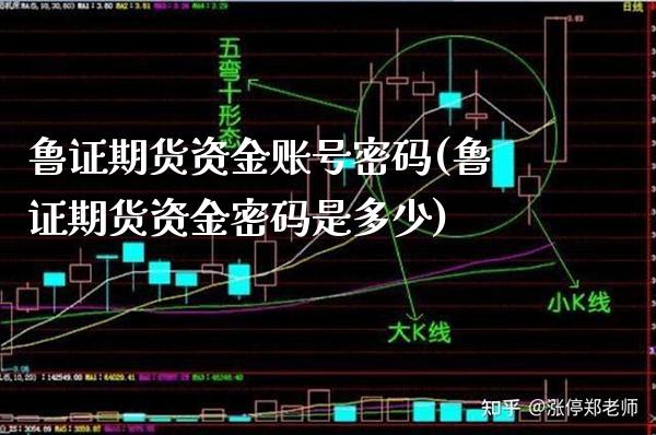 鲁证期货资金账号密码(鲁证期货资金密码是多少)