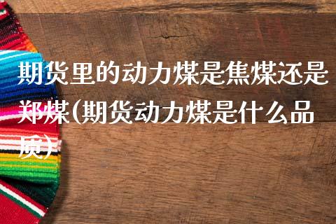 期货里的动力煤是焦煤还是郑煤(期货动力煤是什么品质)_https://www.boyangwujin.com_恒指期货_第1张