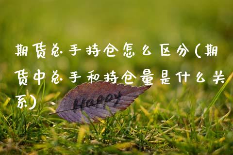期货总手持仓怎么区分(期货中总手和持仓量是什么关系)_https://www.boyangwujin.com_恒生指数_第1张