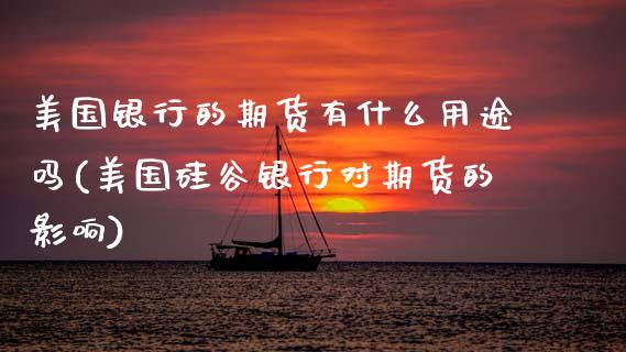 美国银行的期货有什么用途吗(美国硅谷银行对期货的影响)_https://www.boyangwujin.com_期货直播间_第1张