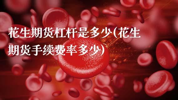 花生期货杠杆是多少(花生期货手续费率多少)_https://www.boyangwujin.com_恒指期货_第1张