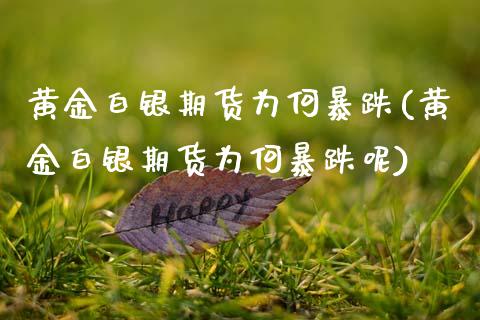 黄金白银期货为何暴跌(黄金白银期货为何暴跌呢)_https://www.boyangwujin.com_原油期货_第1张