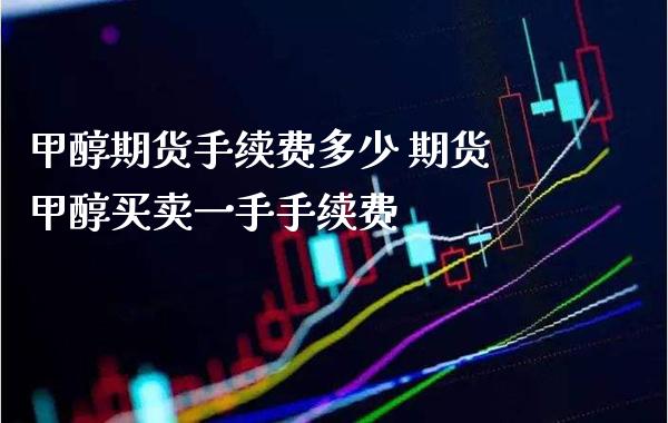 甲醇期货手续费多少 期货甲醇买卖一手手续费_https://www.boyangwujin.com_期货直播间_第1张