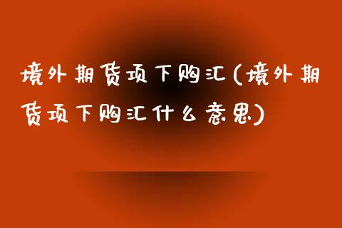 境外期货项下购汇(境外期货项下购汇什么意思)_https://www.boyangwujin.com_期货直播间_第1张