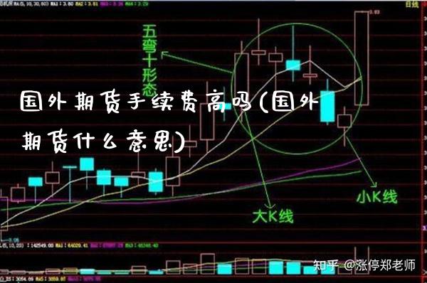 国外期货手续费高吗(国外期货什么意思)