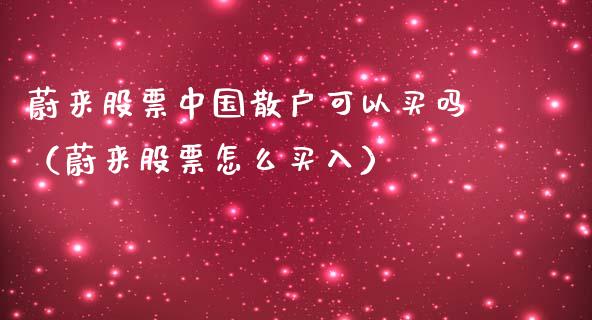 蔚来股票中国散户可以买吗（蔚来股票怎么买入）_https://www.boyangwujin.com_期货直播间_第1张