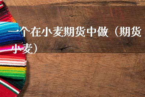 一个在小麦期货中做（期货 小麦）_https://www.boyangwujin.com_期货直播间_第1张