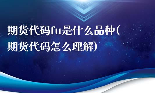 期货代码fu是什么品种(期货代码怎么理解)_https://www.boyangwujin.com_纳指期货_第1张