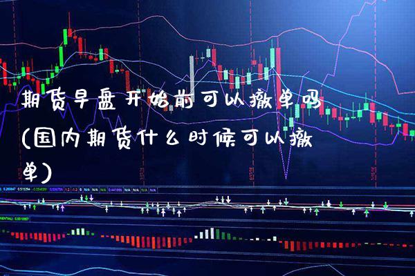 期货早盘开始前可以撤单吗(国内期货什么时候可以撤单)_https://www.boyangwujin.com_原油期货_第1张