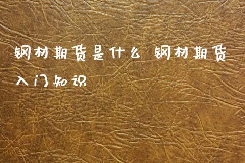 钢材期货是什么 钢材期货入门知识_https://www.boyangwujin.com_纳指期货_第1张