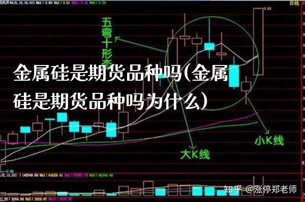 金属硅是期货品种吗(金属硅是期货品种吗为什么)_https://www.boyangwujin.com_黄金期货_第1张