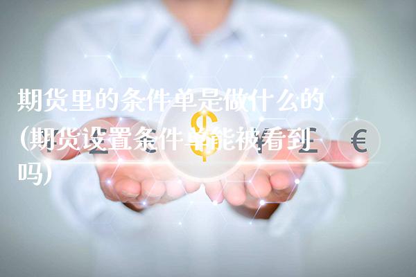 期货里的条件单是做什么的(期货设置条件单能被看到吗)_https://www.boyangwujin.com_期货直播间_第1张