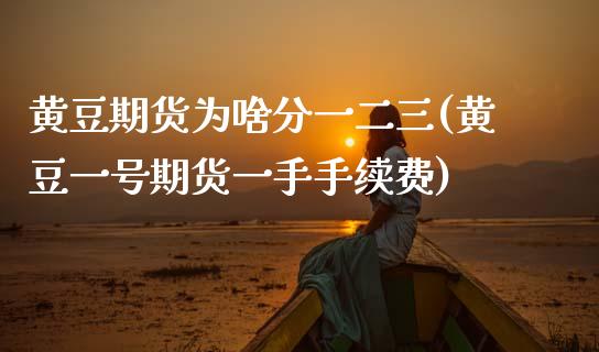 黄豆期货为啥分一二三(黄豆一号期货一手手续费)_https://www.boyangwujin.com_恒指期货_第1张