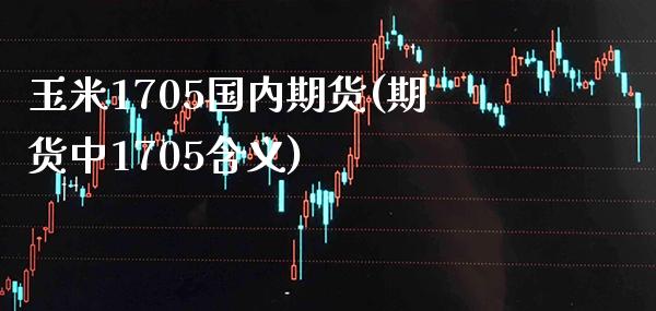 玉米1705国内期货(期货中1705含义)_https://www.boyangwujin.com_期货科普_第1张
